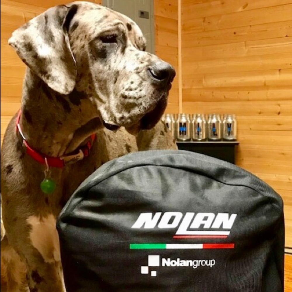 **NEW** Nolan Motorcycle Helmet